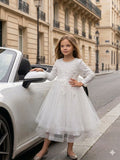 Parisian Promenade Tulle Gown